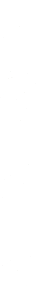 ss