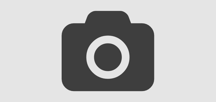 Fourth Article